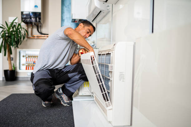 Best Air Duct Mold Removal  in Englewood, OH
