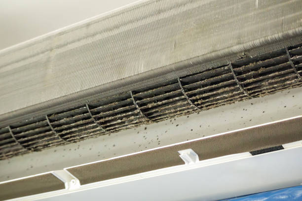 Best Ductwork Cleaning Services  in Englewood, OH
